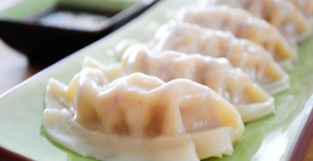 VEGETARIAN DUMPLINGS!!