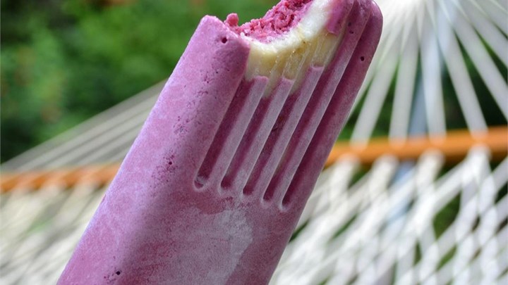 FRESH FRUIT & YOGURT ICE POPS!!